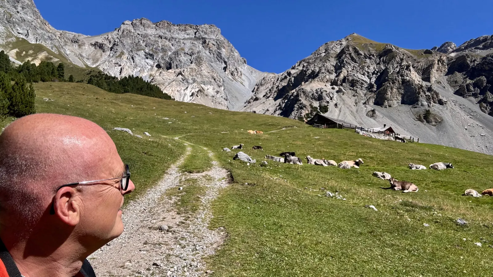 Dr. Michael Hartschen unterwegs auf einem Alpweg im Unterengadin – Walk and Talk